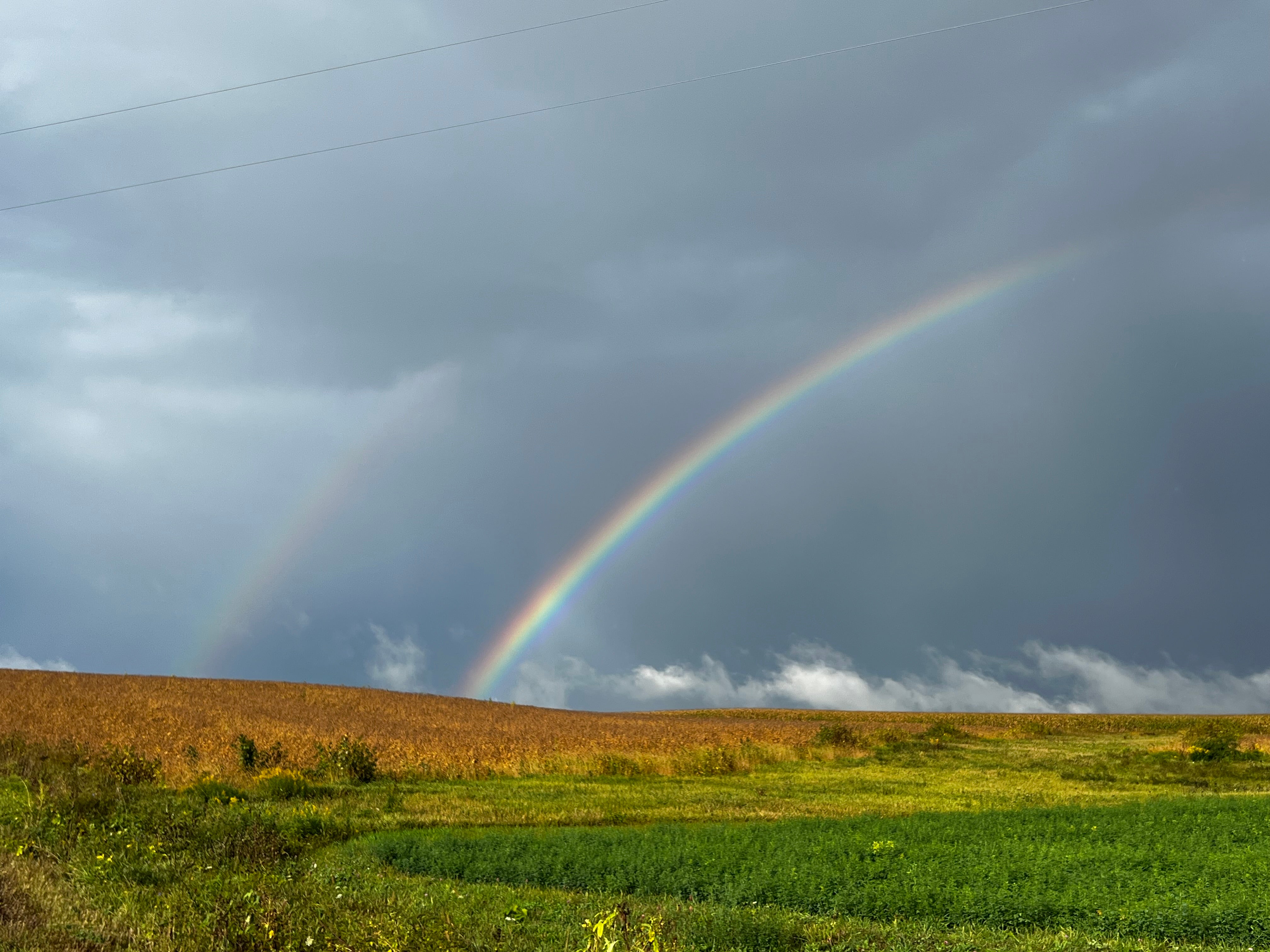 double rainbow over a field