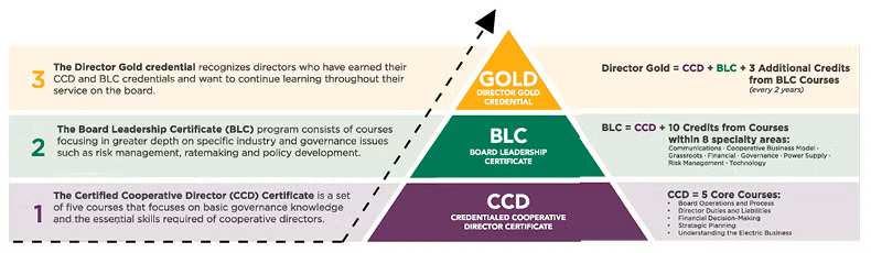Director Certificate Levels