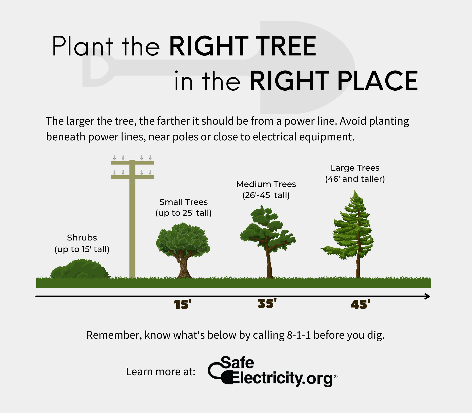 Right Tree, Right Place